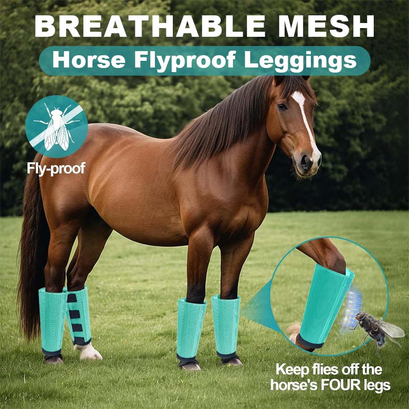 Andningsbara mesh-leggings för hästar, flugsäkra 🐎✨