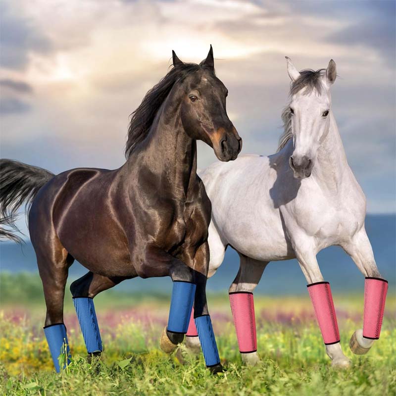 Andningsbara mesh-leggings för hästar, flugsäkra 🐎✨