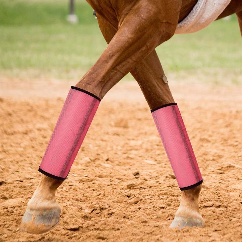 Andningsbara mesh-leggings för hästar, flugsäkra 🐎✨