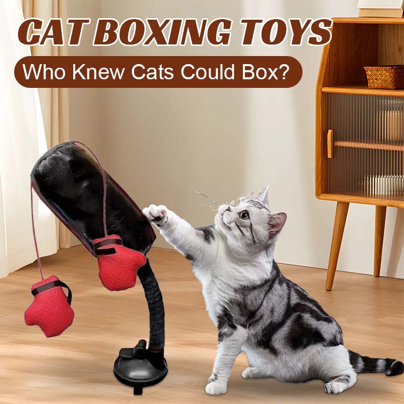 Kattboxningsleksaker