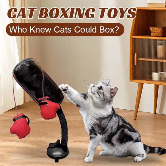 Kattboxningsleksaker