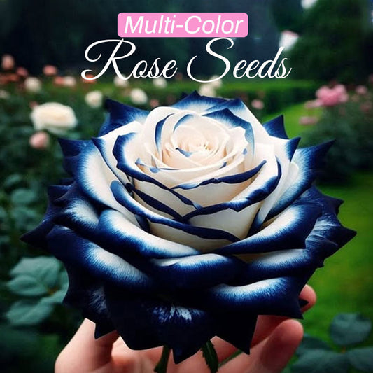 Flerfärgade rosfrön