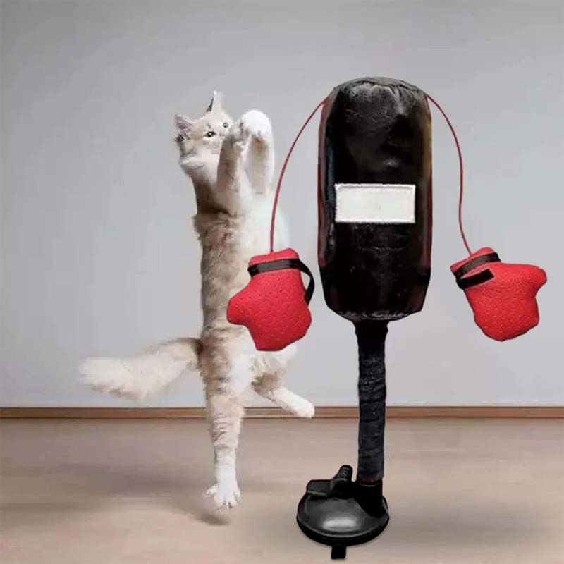 Kattboxningsleksaker